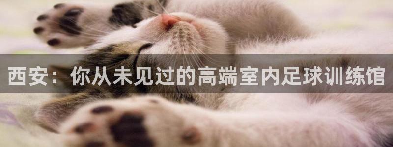蜘蛛体育app入口在线观看：西安：你从未见过的高端室内足球训练馆