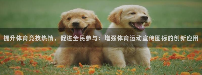 蜘蛛体育看不了：提升体育竞技热情，促进全民参与：增强体育运动宣传图标的创新应用