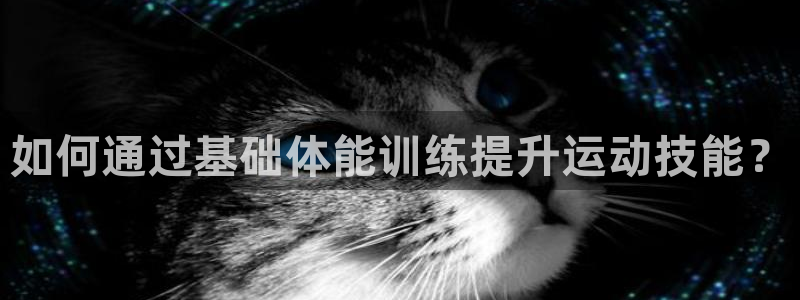 蜘蛛体育直播在线看：如何通过基础体能训练提升运动技能？