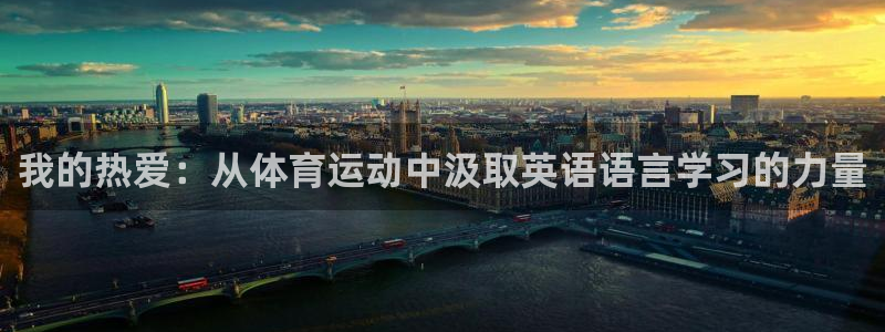 蜘蛛体育小狐狸图片：我的热爱：从体育运动中汲取英语语言学习的力量