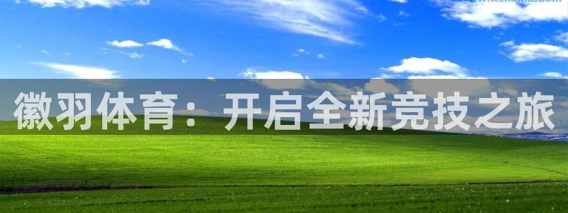 蜘蛛体育狐狸：徽羽体育：开启全新竞技之旅