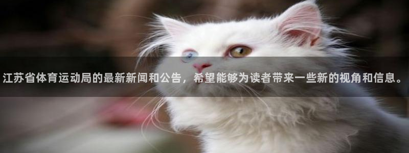 蜘蛛体育斯诺克：江苏省体育运动局的最新新闻和公告，希望能够为读者带来一些新的视角和信息。