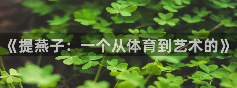 蜘蛛体育赛事直播：《提燕子：一个从体育到艺术的》