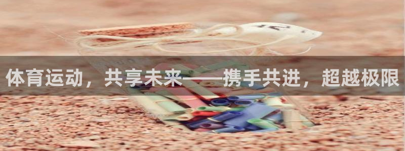 蜘蛛体育app入口在线观看：体育运动，共享未来——携手共进，超越极限