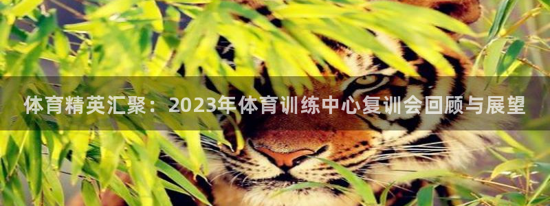蜘蛛体育足球直播入口：体育精英汇聚：2023年体育训练中心复训会回顾与展望