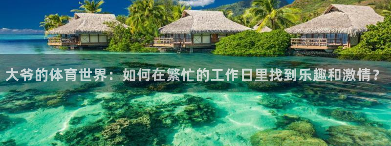蜘蛛体育直播nba在线观看：大爷的体育世界：如何在繁忙的工作日里找到乐趣和激情？